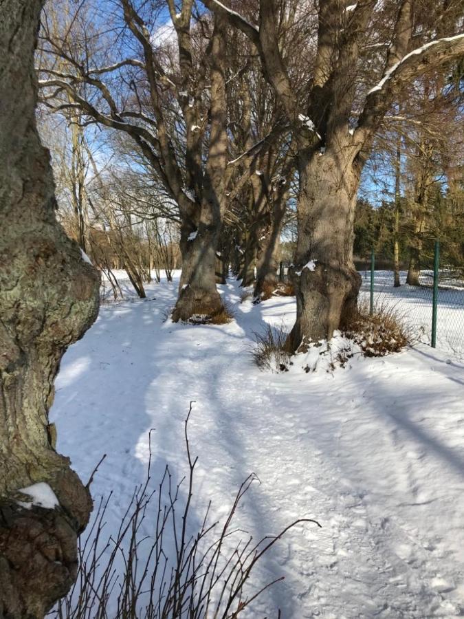 Seeblick Warin Екстер'єр фото